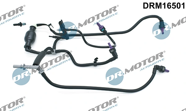LIZARTE DRM16501