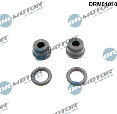 LIZARTE DRM01010