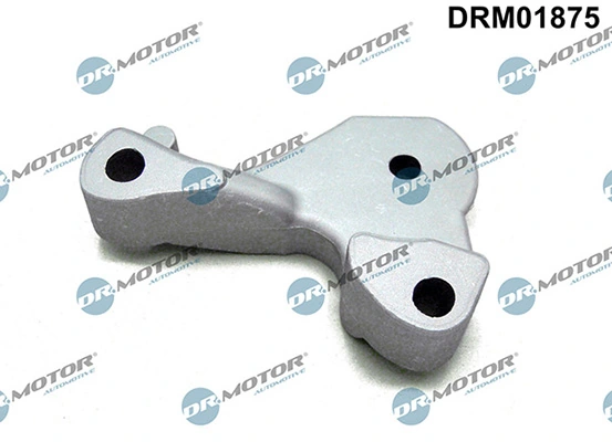 LIZARTE DRM01875