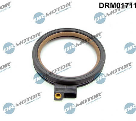 LIZARTE DRM01711