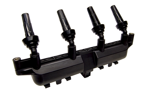 LIZARTE BOBEN015