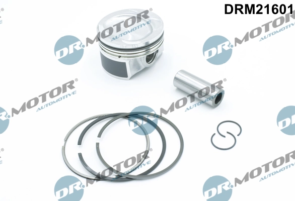 LIZARTE DRM21601