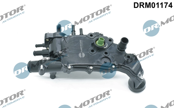 LIZARTE DRM01174