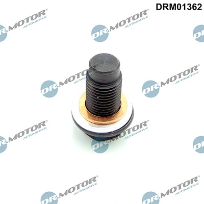 LIZARTE DRM01362