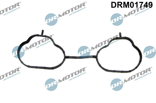 LIZARTE DRM01749