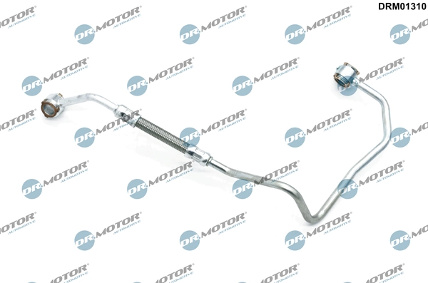 LIZARTE DRM01310