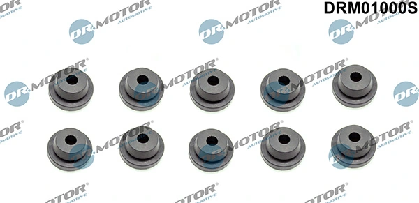 LIZARTE DRM01000S