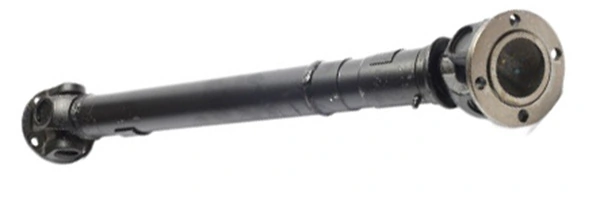 LIZARTE PS0070