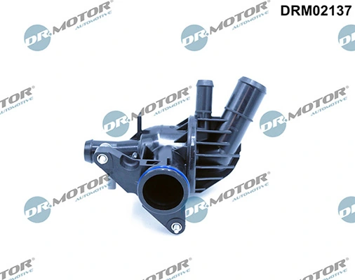 LIZARTE DRM02137