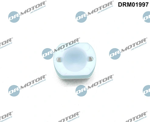 LIZARTE DRM01997