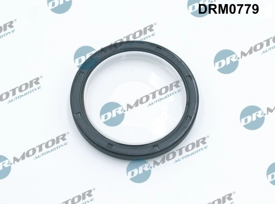 LIZARTE DRM0779