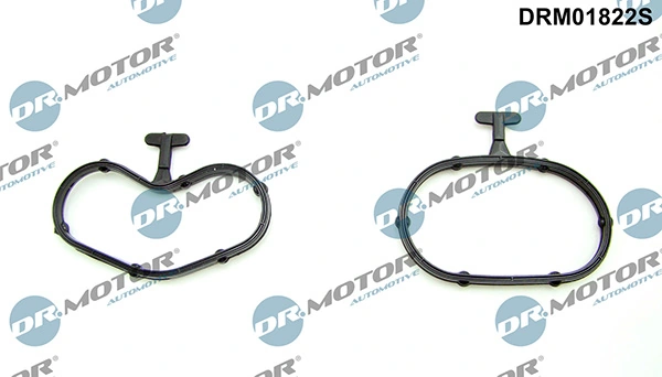 LIZARTE DRM01822S