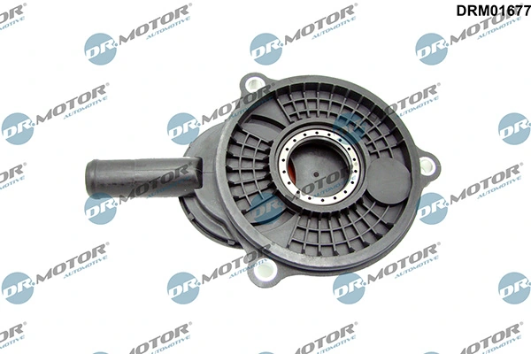 LIZARTE DRM01677