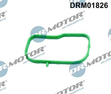 LIZARTE DRM01826