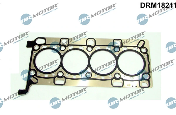 LIZARTE DRM18211