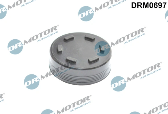 LIZARTE DRM0697