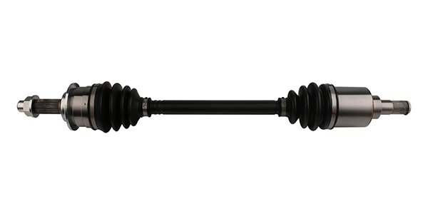 LIZARTE DS0469