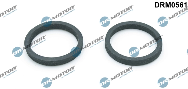 LIZARTE DRM0561