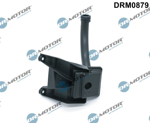 LIZARTE DRM0879