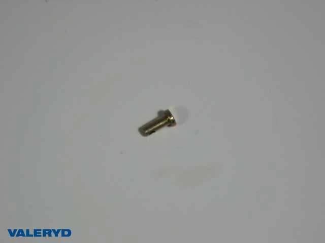Valeryd 1122001