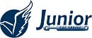 JUNIOR GAS SPRING
