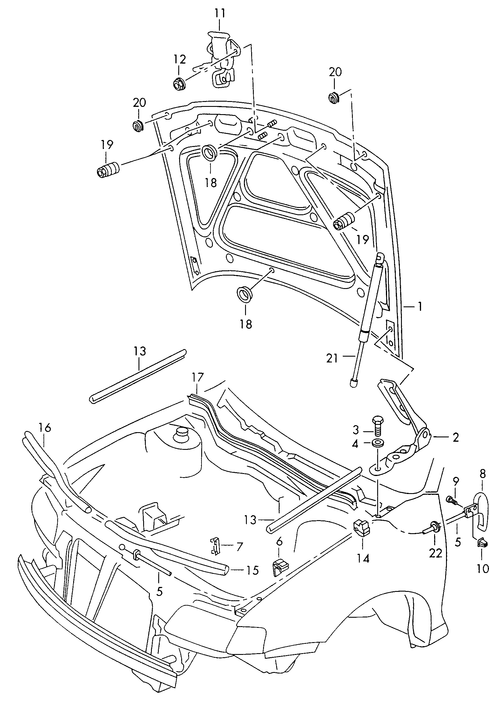 cofano anteriore - Audi A3/S3/Sportb./Lim./qu(A3)  