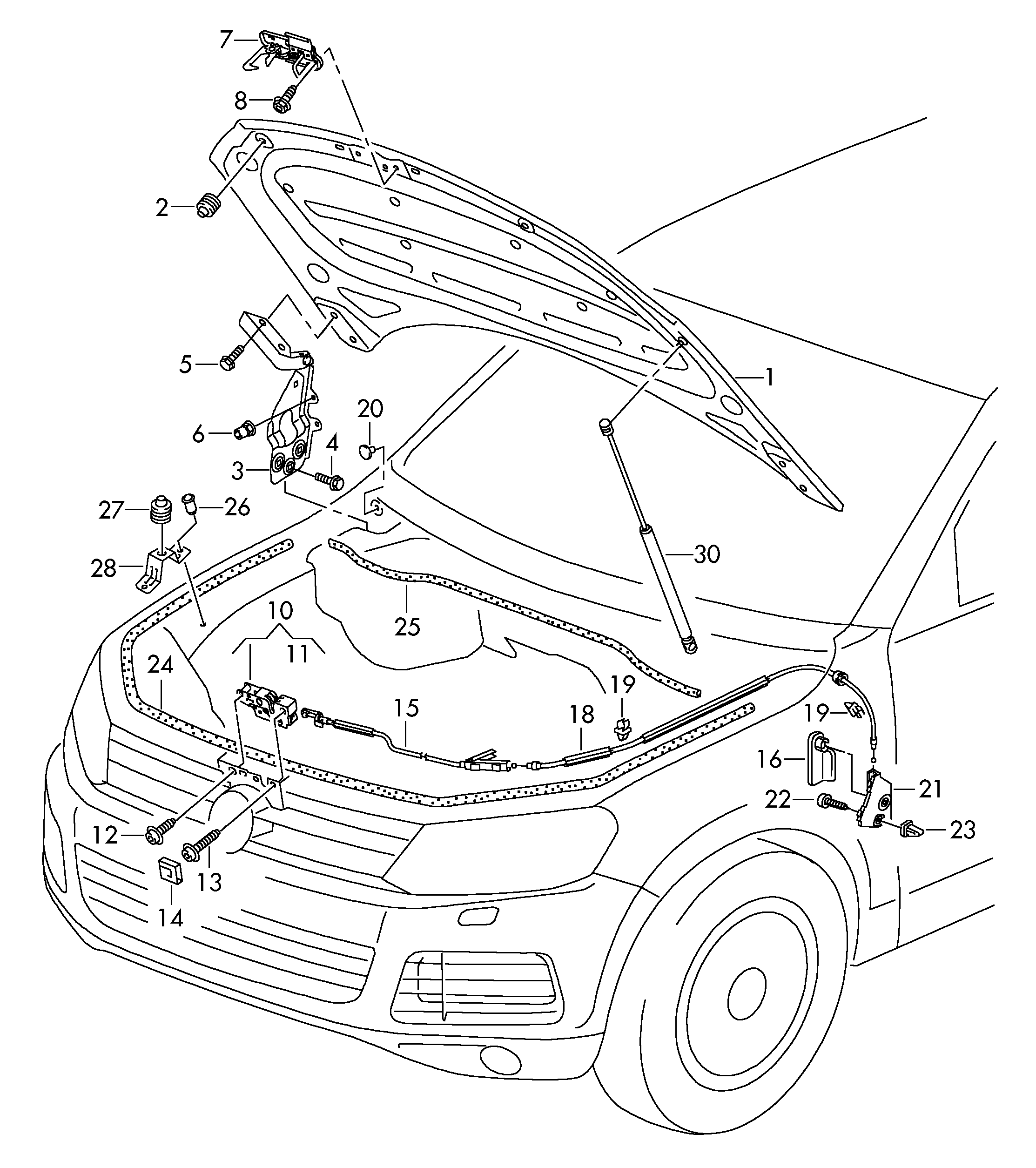 cofano anteriore; serratura sportelli - Touareg(TOUA)  