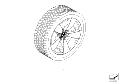 Winter wheel w.tyre star spoke 138 -17"
