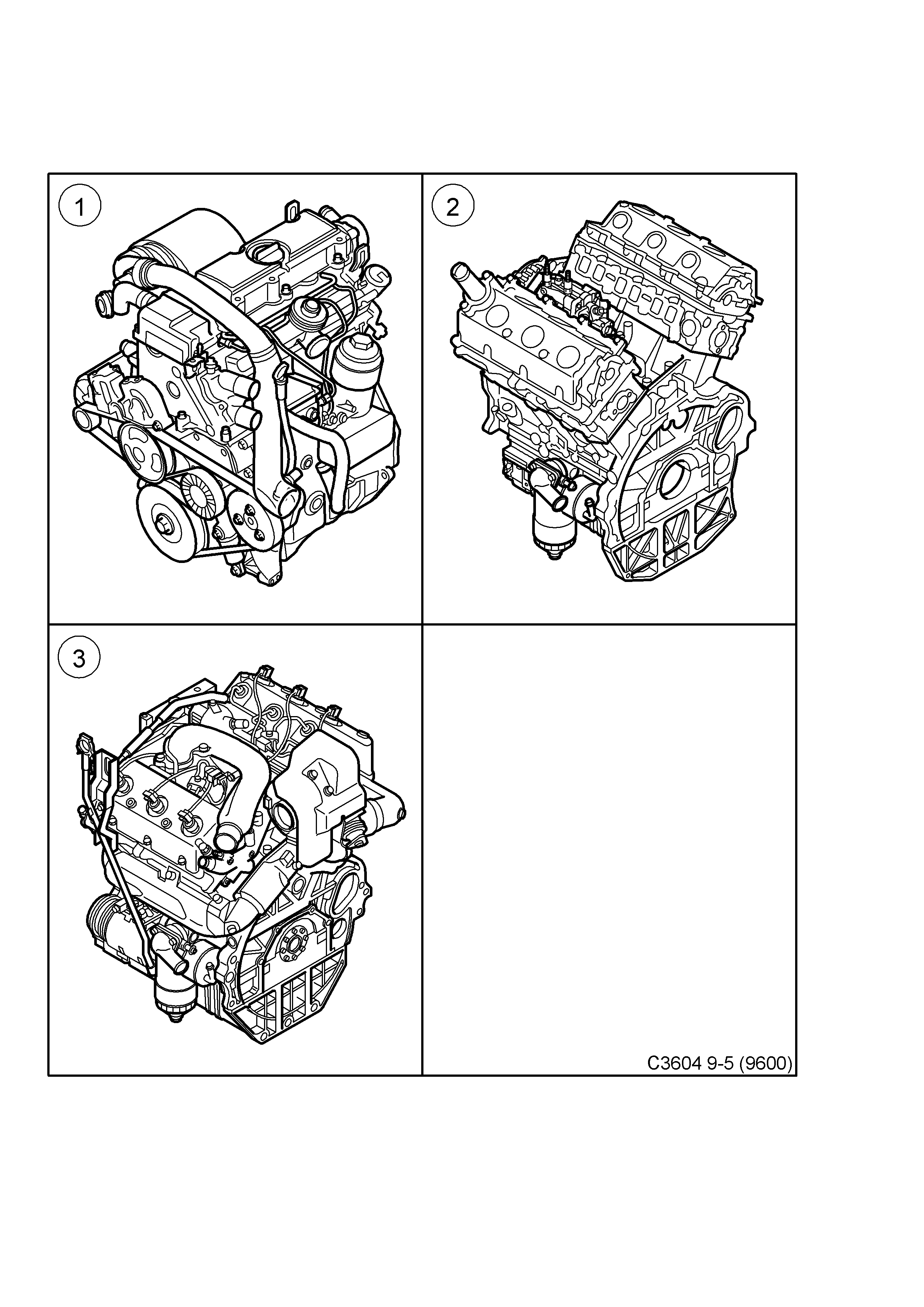 Short engine - Engine, (2002-2005) , D308L,D223L