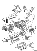 ENGINE - CLUTCH Chevrolet Small Truck (Mexico) INTERNAL PARTS,ENGINE V6  3.1L  1991-1994