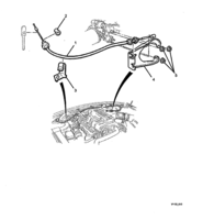 FUEL & EXHAUST Chevrolet Lumina (RHD) THROTTLE CABLE - (LN3)
