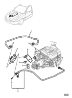 FUEL & EXHAUST Chevrolet Lumina (RHD) VAPOUR CANISTER PURGE HOSES - (LS2, L76, L98)
