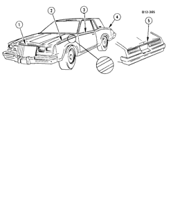 BODY MOLDINGS-SHEET METAL Buick Riviera 1980-1980 E STRIPES (D88,Y50)