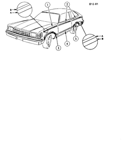 МОЛДИНГИ КУЗОВА-ЛИСТОВОЙ МЕТАЛ Buick Regal 1978-1978 A87 STRIPES (D90)