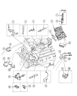 FUEL-EXHAUST-CARBURETION Buick Regal 1981-1981 ELECTRONIC ENGINE EMISSION CONTROLS-TYPICAL (8 CYL SHOWN)
