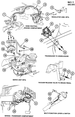 FUEL SYSTEM-EXHAUST-EMISSION SYSTEM Chevrolet Celebrity 1982-1983 A CRUISE CONTROL-V6  (LT7/4.3T)