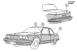 BODY MOLDINGS-SHEET METAL-REAR COMPARTMENT HARDWARE-ROOF HARDWARE Buick Century 1984-1984 A19-27 STRIPES/BODY (D84)