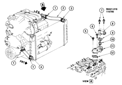 СИСТЕМА ОХЛАЖДЕНИЯ-РЕШЕТКА-МАСЛЯНАЯ СИСТЕМА Pontiac 6000 1986-1986 A HOSES & PIPES/RADIATOR-2.8L V6 (LB6/2.8W)