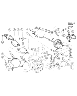 FUEL SYSTEM-EXHAUST-EMISSION SYSTEM Chevrolet Caprice 1986-1990 B CRUISE CONTROL-V8  (LV2/307Y)
