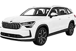 Skoda Kodiaq — Оригинальные OEM запчасти