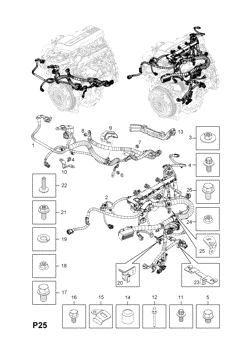 ENGINE AND FUEL INJECTION WIRING HARNESS FITTINGS