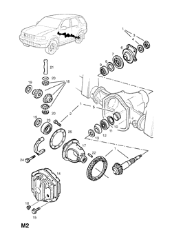 REAR AXLE DIFFERENTIAL GEARS AND CASE