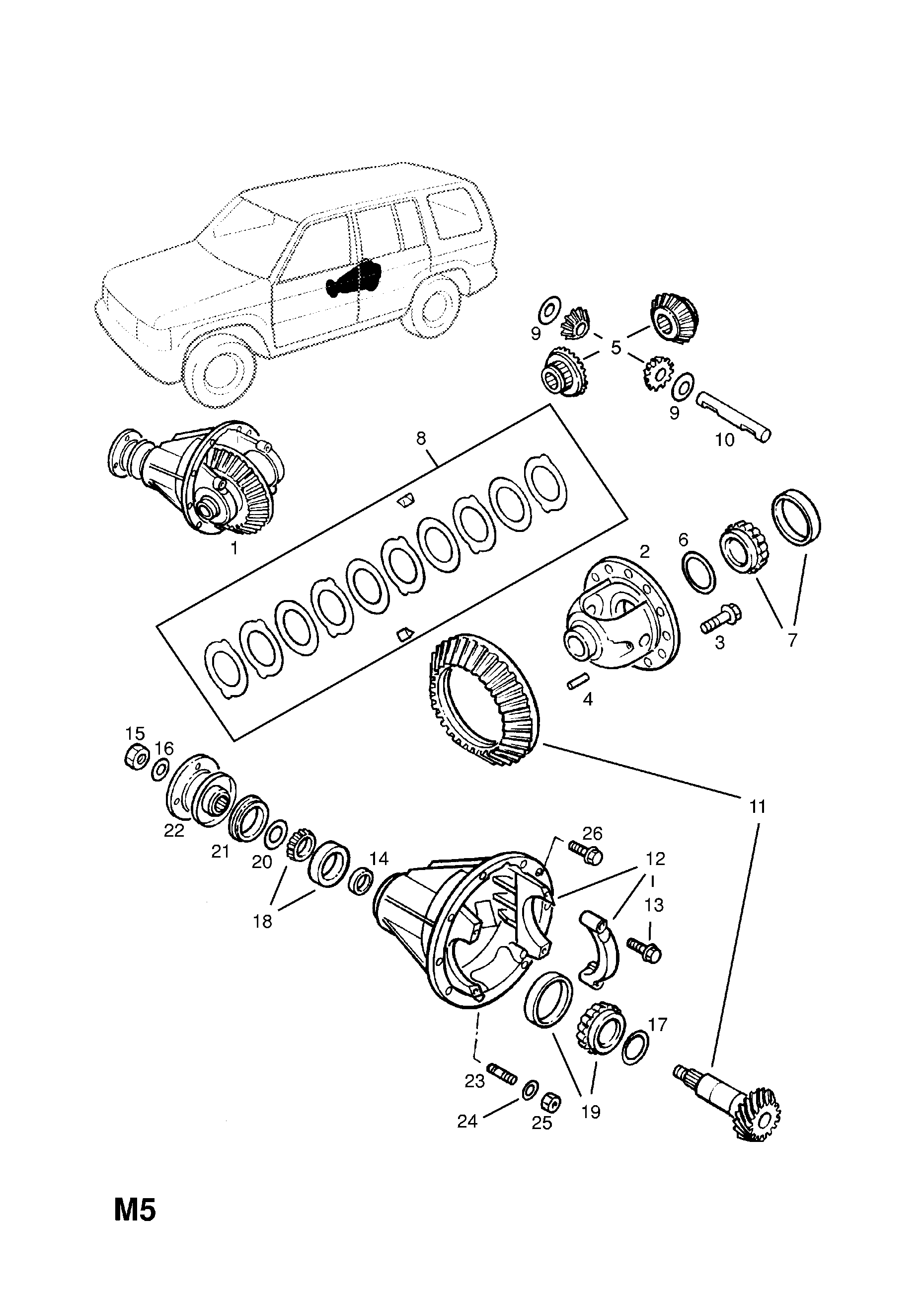 DIFFERENTIAL ASSEMBLY <small><i>[REAR AXLE - WITH LIMITED SLIP DIFFERENTIAL]</i></small>