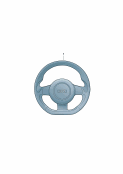 Genuine accessoriessports steering wheel