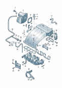 intake systemvacuum systemExhaust gas recirculation